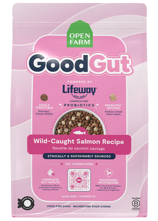 Open Farm Dog GoodGut Wild-Caught Salmon dry dog food 3.5 lb bag