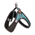 Rogz Urban Fast-Fit Adjustable Harness medium in turquoise