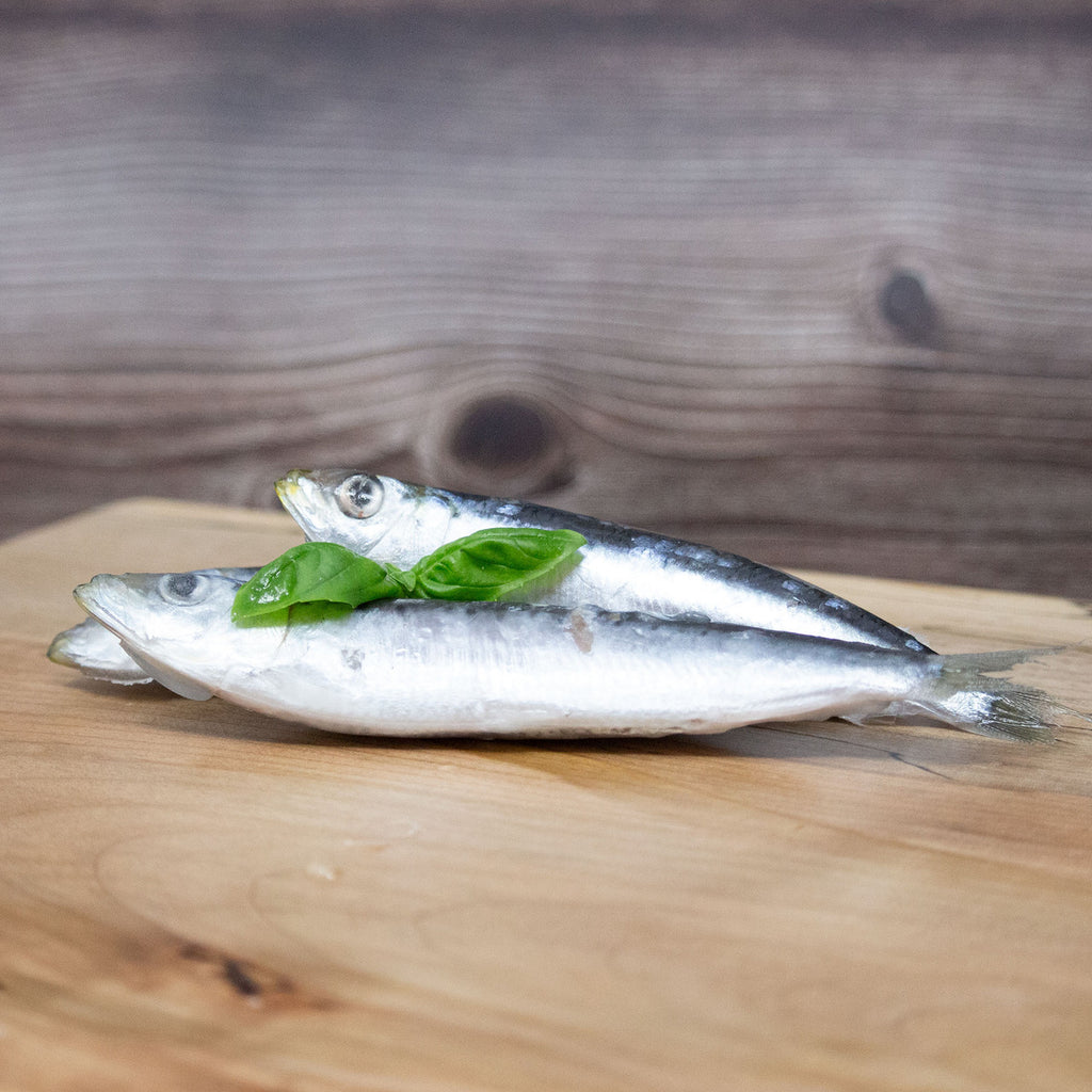 Big Country Raw Sardines individually quick frozen raw topper 1 lb bag