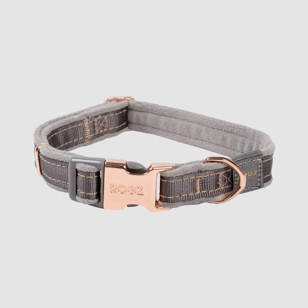 Rogz Urban Classic Collar Medium grey with rose gold trims and D-ring
