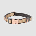 Rogz Urban Classic dog collar X-Small Gold Rush pastel with rose gold trims
