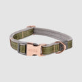 Rogz Urban Classic Collar Small Olive soft plush webbing with rose gold trims