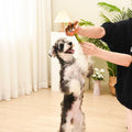HugSmart - Pooch Pouch Poop Bag Holder Bubble Tea