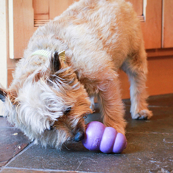 KONG Senior Purple Dog Toy Small