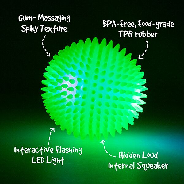 Gnawsome - Squeak & Light Ball 4.5in