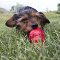 KONG - Easy Treat Peanut Butter 8OZ