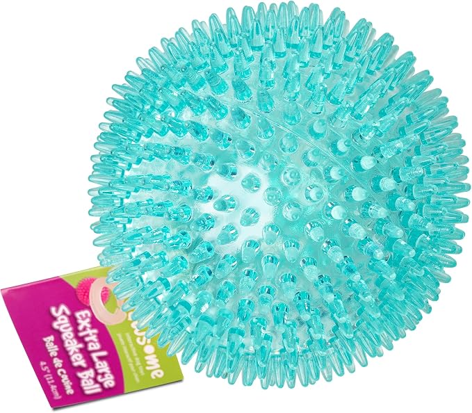 Gnawsome - Squeak Ball 4.5in