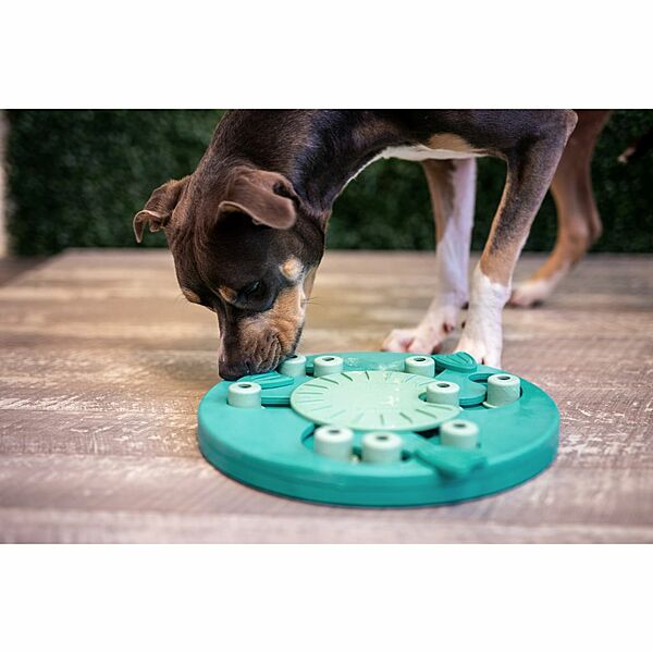 Nina Ottosson Dog Worker Puzzle (Green)