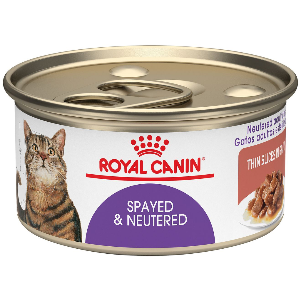 Royal Canin Feline Spayed Neutered Thin Slices in Gravy wet cat food 85g can