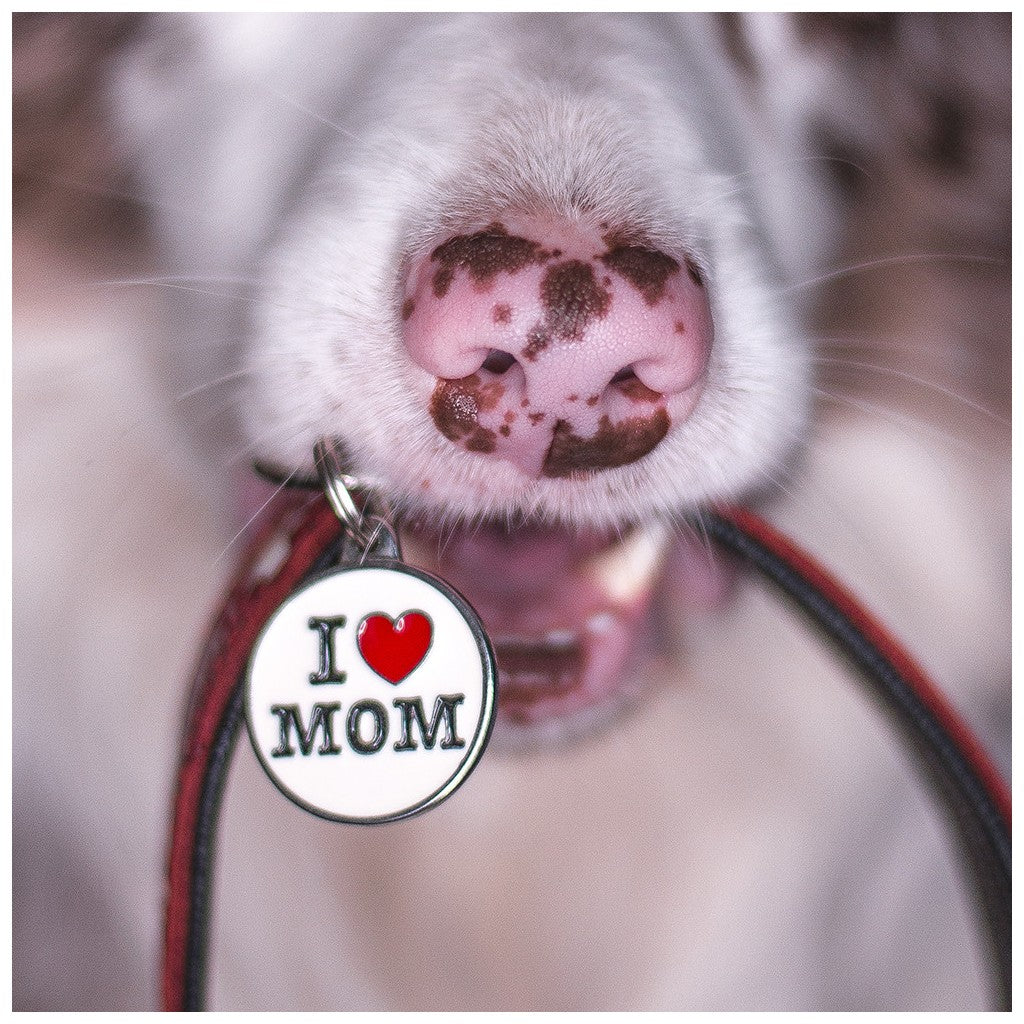 MyFamily Medium Charms I Love Mom ID Tag in white