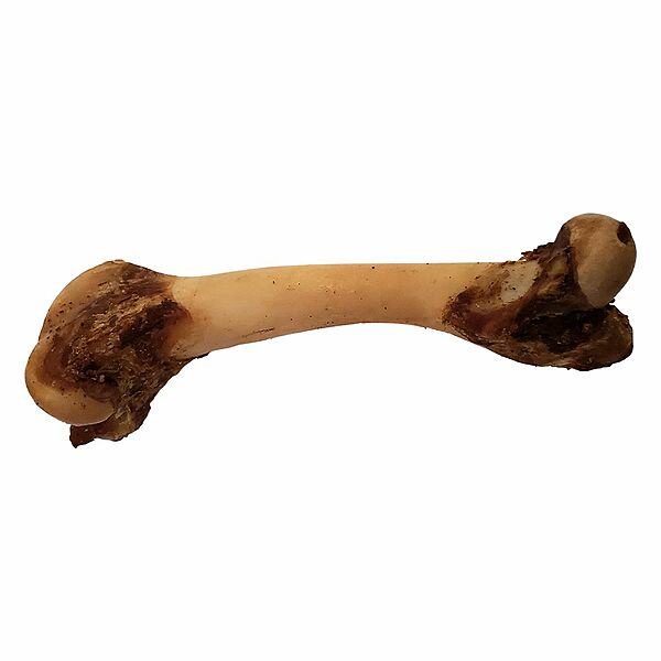 Rollover Meaty Femur Bone – Lamb (1 Pack)