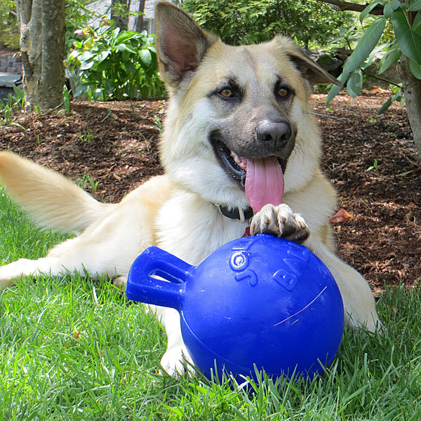 Jolly Pets Tug-N-Toss Ball with Handle - Blue 8"