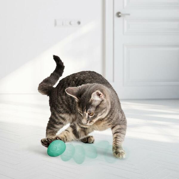 KONG Infused Catnip Egg Cat Toy – 2 Pack