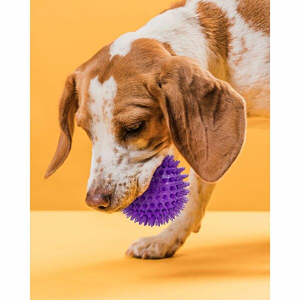 Gnawsome Squeaker Ball 3.5"