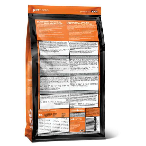 GO! Solutions Skin & Coat Care Salmon Recipe with Grains – 22 lb