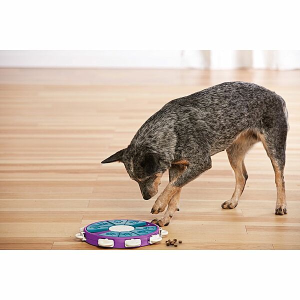 Nina Ottosson Dog Twister Puzzle