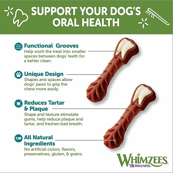 Whimzees Brushzees Dental Chews – Large 6-Pack