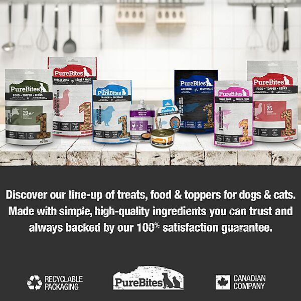 PureBites Freeze-Dried Salmon Dog Treats 270g