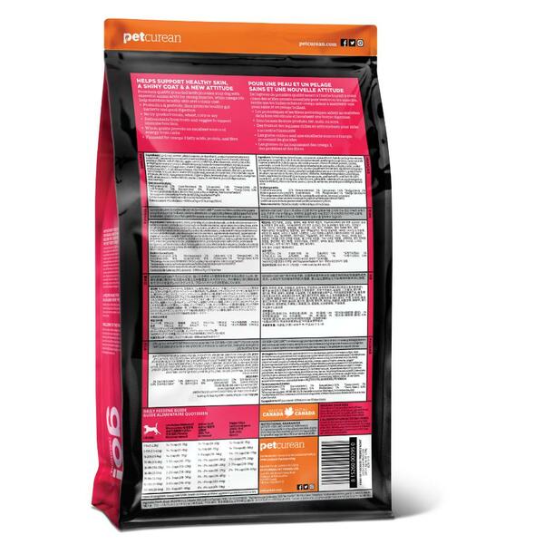 GO! Solutions Skin & Coat Care Lamb Recipe with Grains Dry Dog Food 22 lb