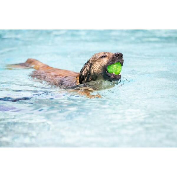 Hyper Pet Dura-Squeaks Ball