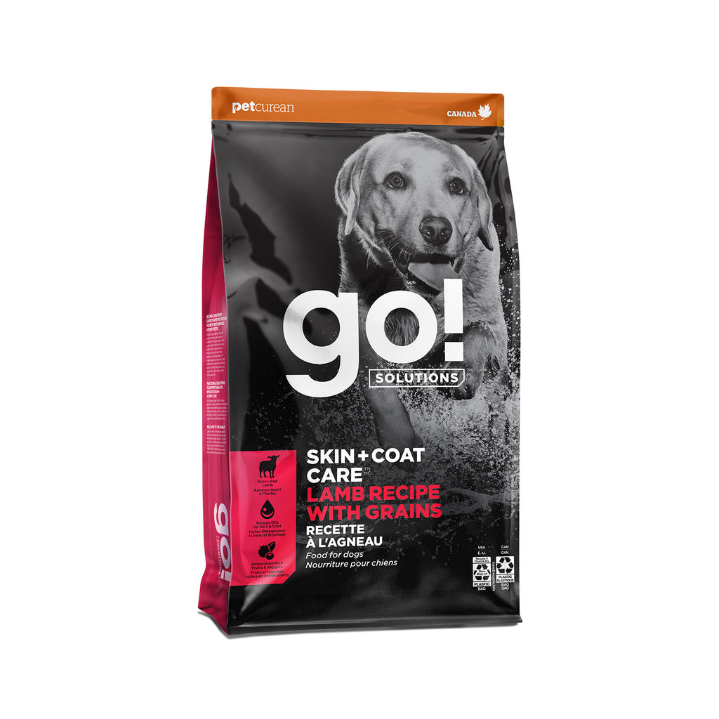 GO! Skin and Coat Care Lamb Recipe with Grains dry dog food 3.5 lb bag