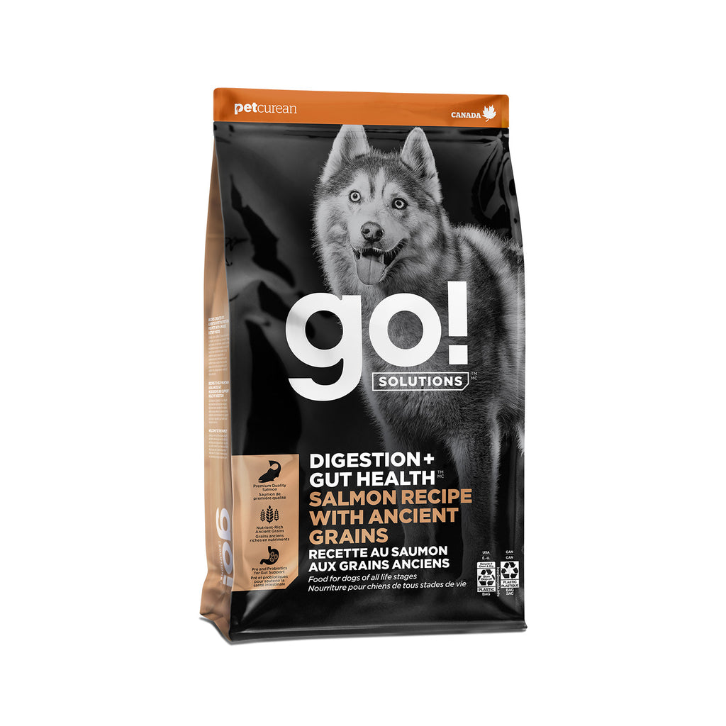 GO! Digestion Gut Health Salmon and Ancient Grains dry dog food 22 lb bag