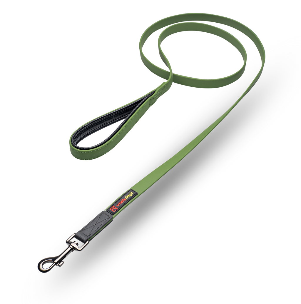Smellydogz Comfort Lead olive green 5/8 inch 6 foot leash