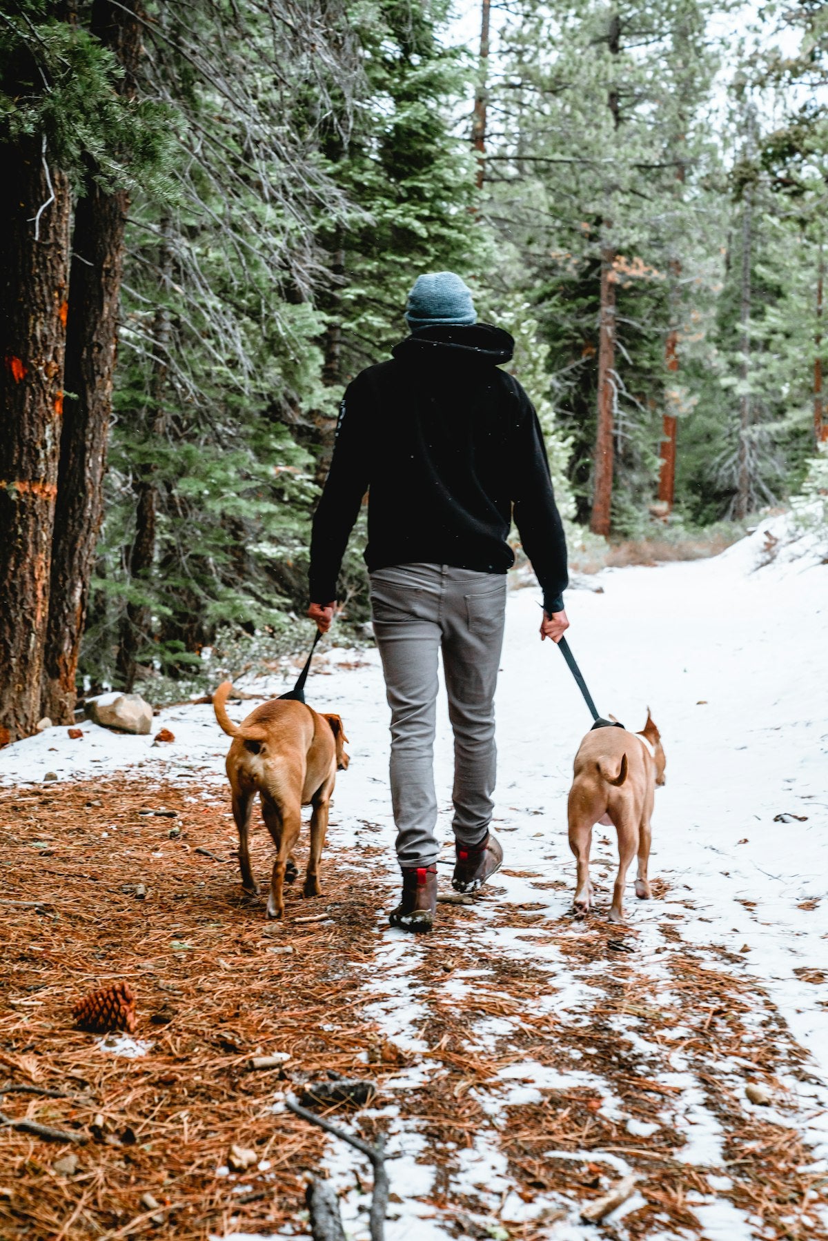 Man walking his dog in the snow wearing a warm coat